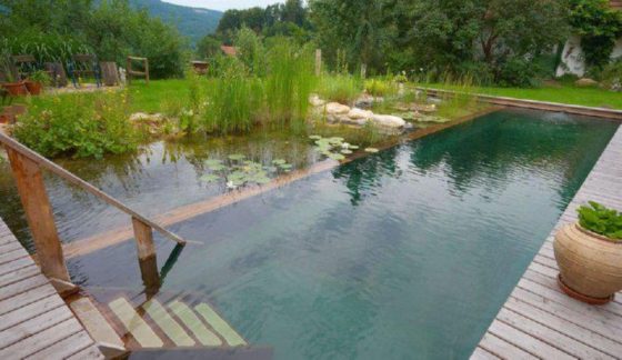 natural swimming pool by pond alchemy