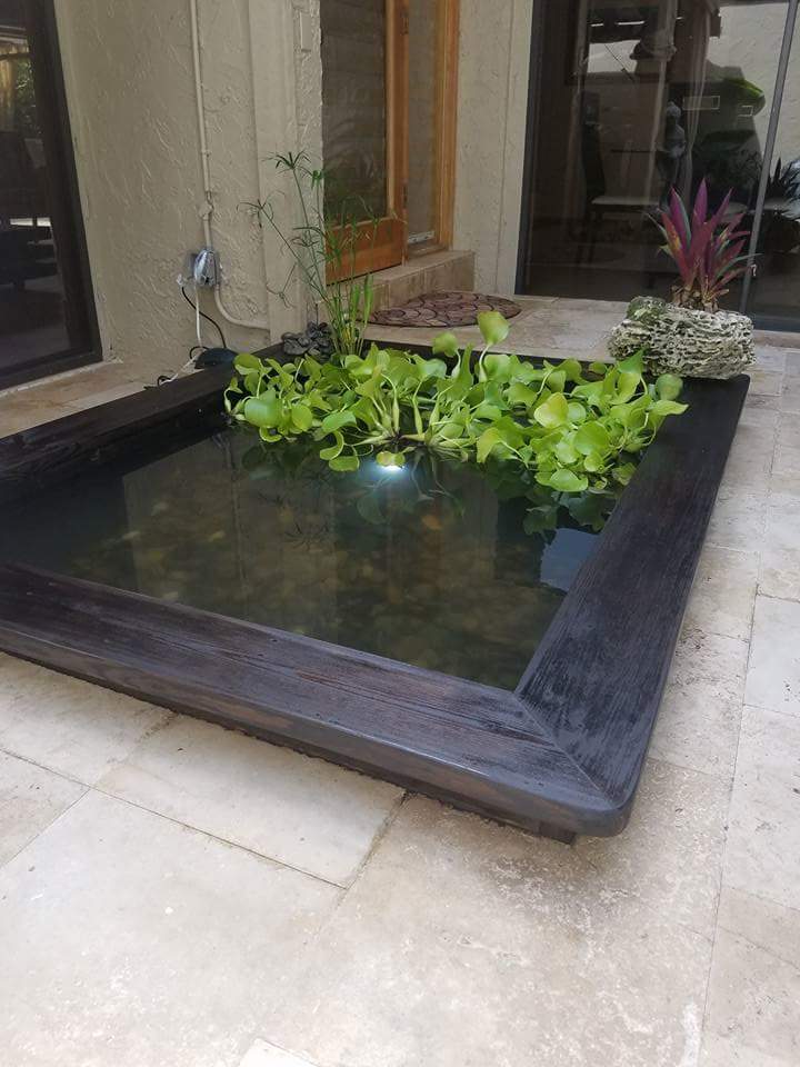 Miami courtyard pond water garden