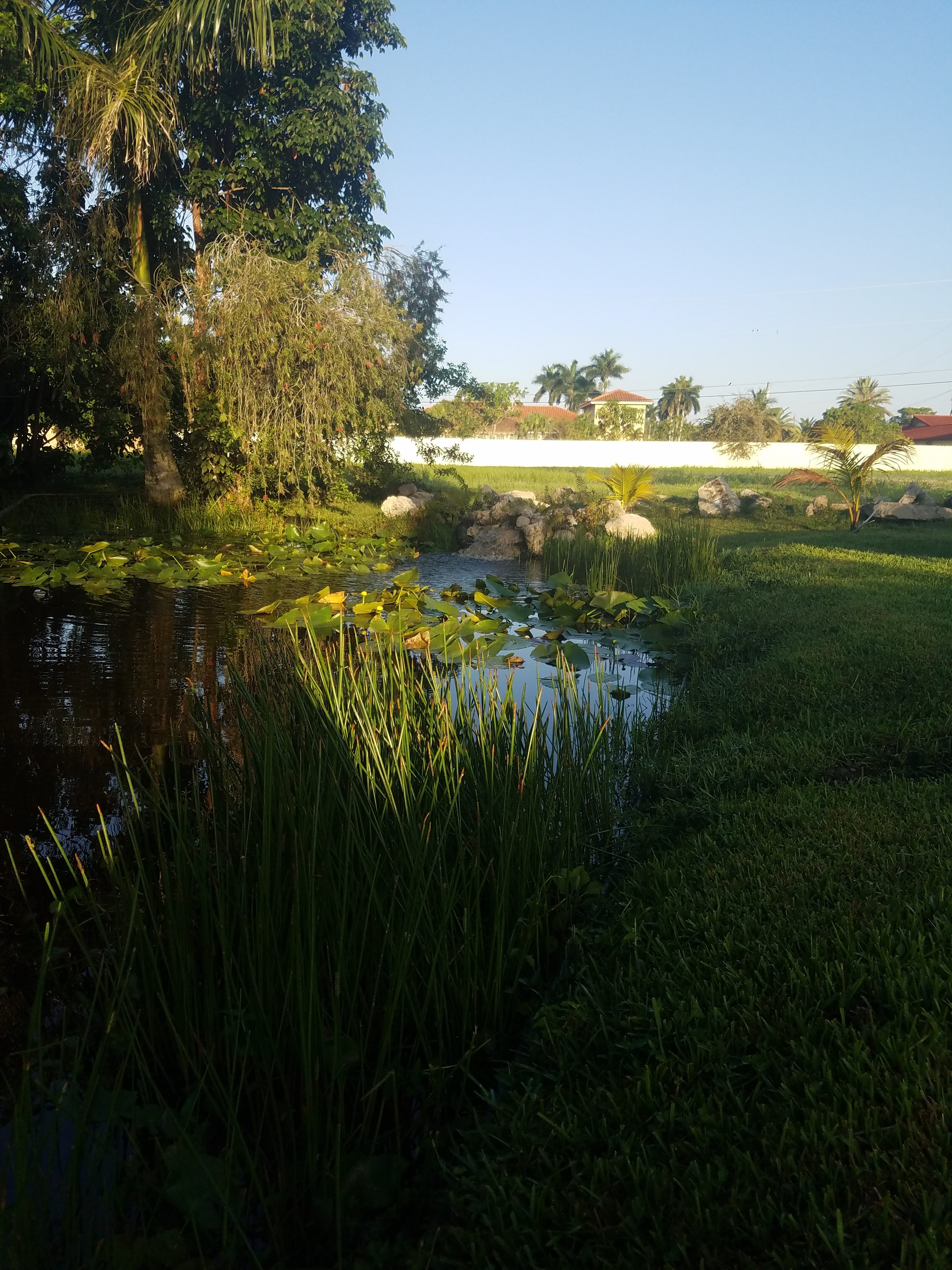 Natural Pond by Pond Alchemy