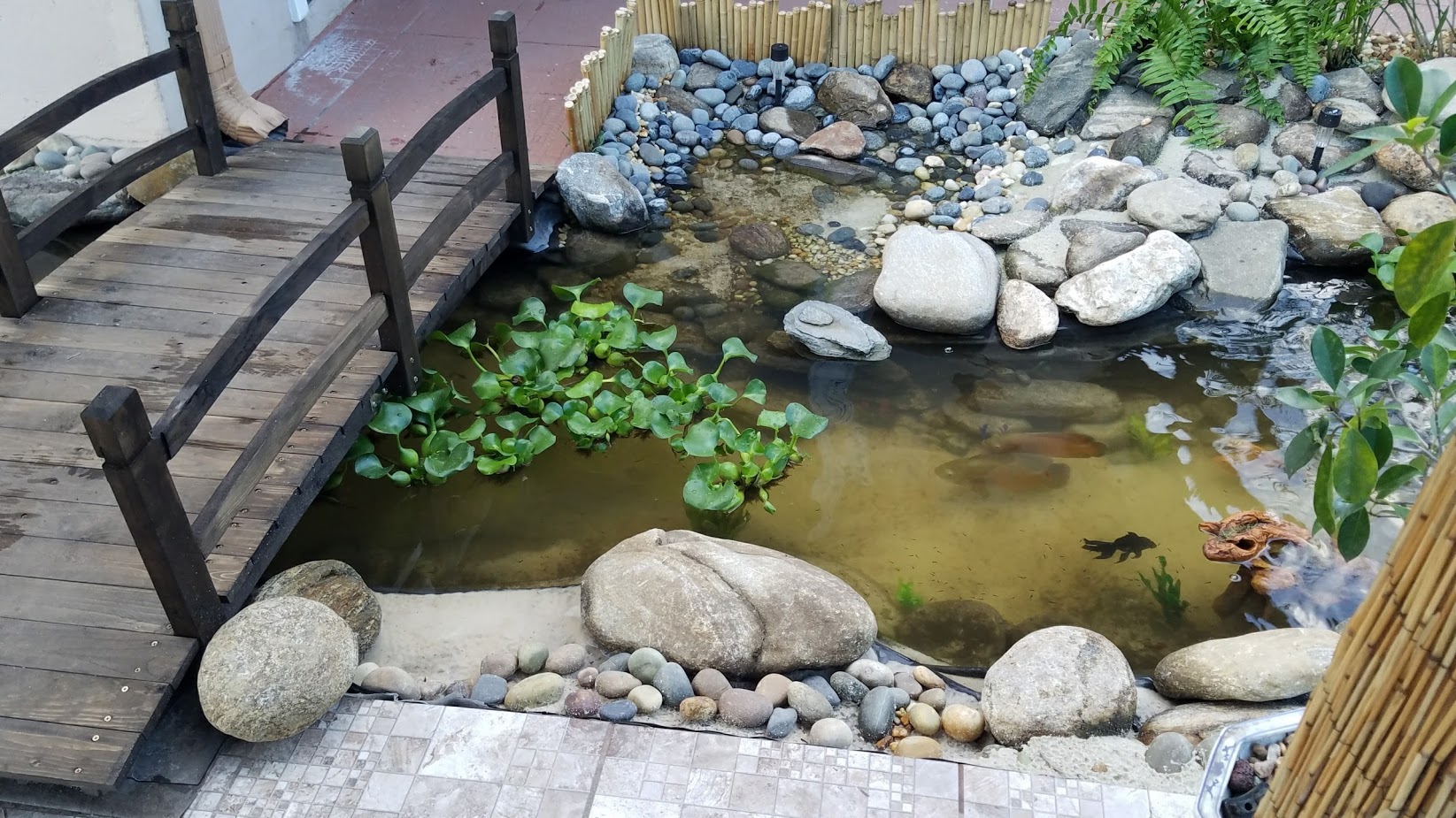 LAZY RIVER POND PROJECT – Pond Alchemy