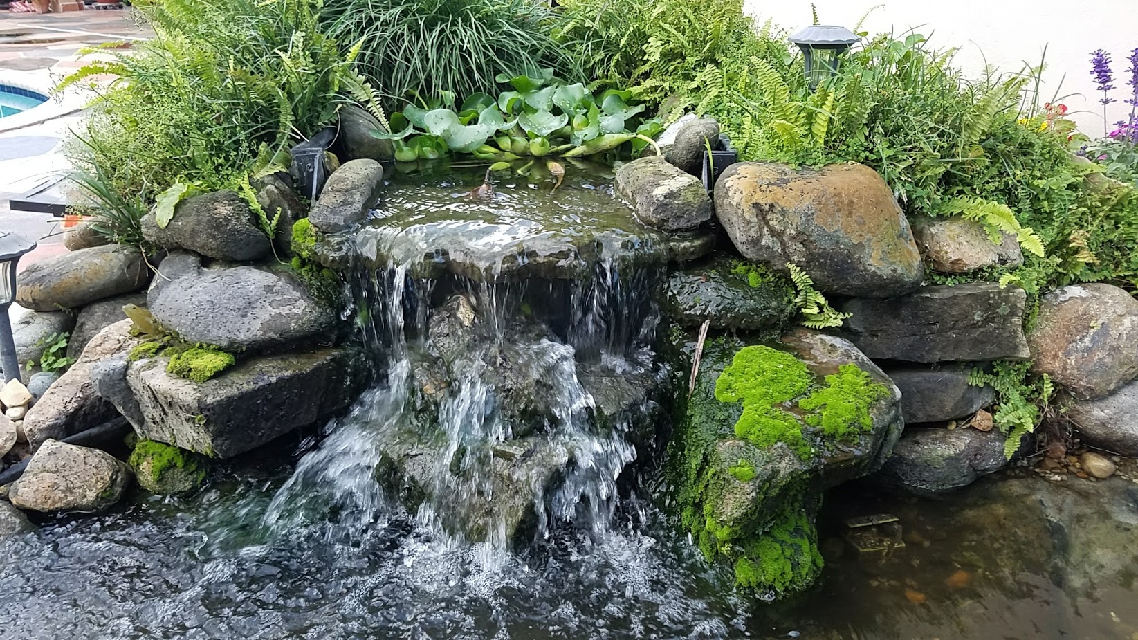 Waterfall by Pond Alchemy