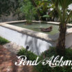 Turtle Pond Miami