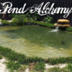 Pond Alchemy