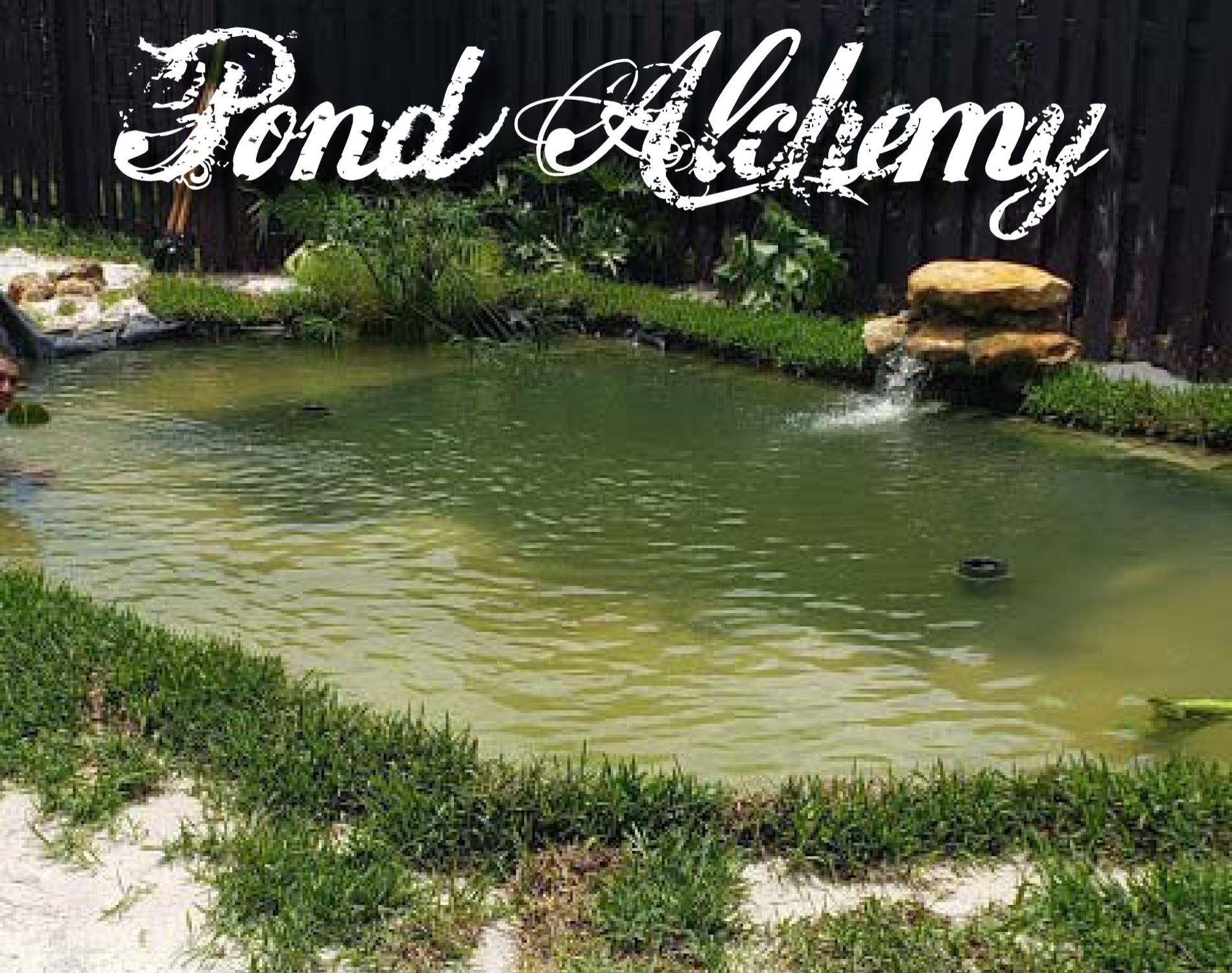 Pond Alchemy